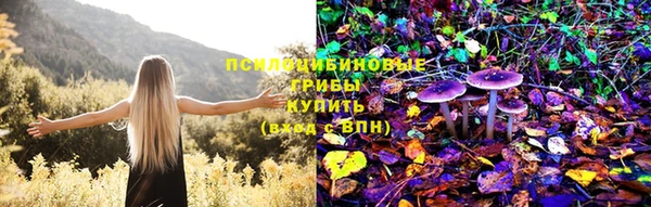 экстази Алексин