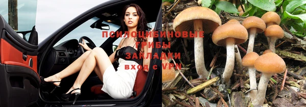 jwh Абинск